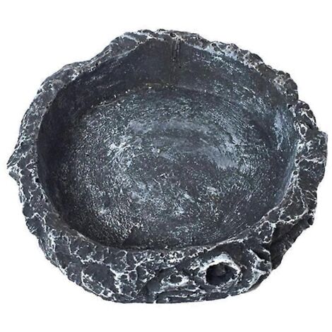 Gamelle pour reptiles, récipient peu profond pour terrarium ou aquarium, décoration en résine (1/5)