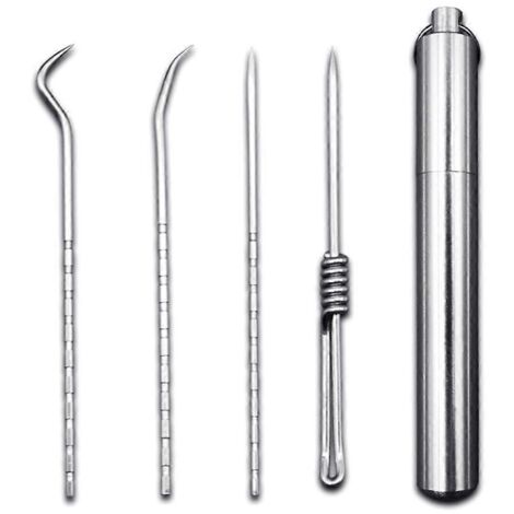 Kit de cure-dents réutilisables en acier inoxydable portable pour le nettoyage des dents, à utiliser à la maison ou en résidence étudiante (1/5)