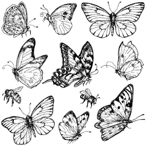 Tampon papillon, insectes volants, sceau, artisanat fait main pour la création de cartes (1/5)