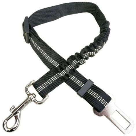 Lot de 2 laisses pour chien, 70 cm, noir, 2,5 cm (1/5)