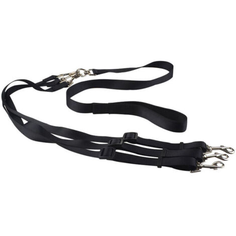 Laisse 3 en 1 anti-embrouillement pour chien, noir (1/5)