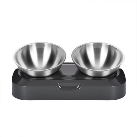 Gamelle surélevée pour chat en acier inoxydable, double bol (1/5)