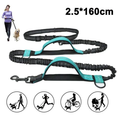 Les amoureux de chien Joggingleine pour les Chiens de grande taille à partir de 15 kg Élastique Freihandleine avec une légère Ceinture Amovible en Laisse avec 2 Boucles souples Orange Longe (160 cm, (1/5)