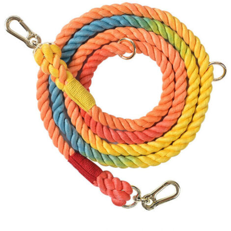 Laisse de course tressée pour chien – Motif arc-en-ciel – Accessoires dorés – Longueur 210 cm (1/4)