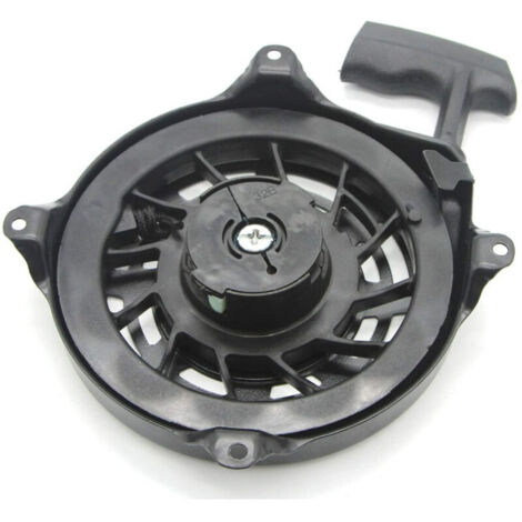 Lntyq 497680 Lanceur pour Briggs & Stratton 497680 (1/5)