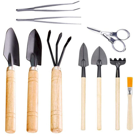 10 PièCes Outils de Plantation Succulente Jardinage Paysage en Pot Plantation de Fleurs Mini Ensemble (1/5)