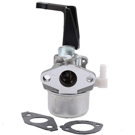 Carburateur avec joint de montage pour110402 110412 697422 (1/5)