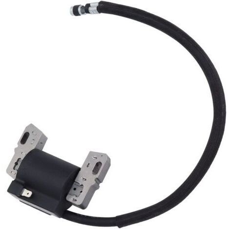 Bobine D'allumage pour 492341 490586 491312 495859 715231 591459 Pièces de Tondeuse à Moteur (1/5)