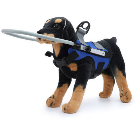 Harnais pour chien aveugle Gilet de protection pour chiens Empêcher les collisions Anneau pour chiens avec yeux malades aveugles Anneau de gilet pour animaux domestiques Fournitures de dressage (1/4)