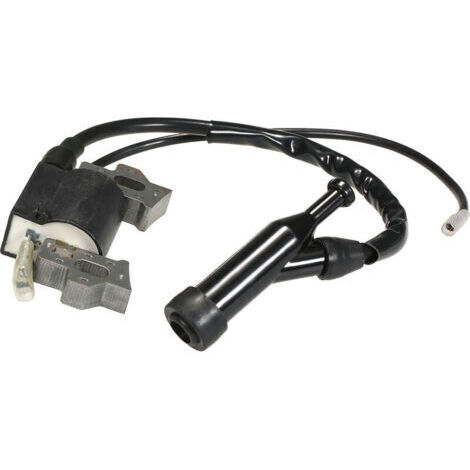Module De Bobine D'Allumage Pour Honda Gx110 Gx120 Gx140 Gx160 Gx200 (1/5)