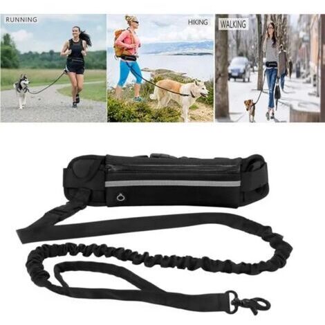Laisse de taille avec poche de rangement zippée, ceinture de course réfléchissante, laisse de promenade élastique réfléchissante (1/4)