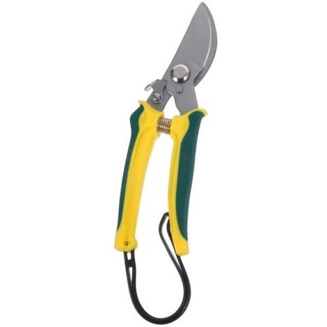 BUNTHAUS Cisailles De Jardin Acier Avec Poignée Ergonomique Pour Élagage De Et Taillage De Branches Outil Pratique Pour Et Vergers (1/5)