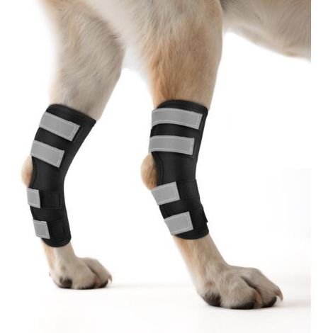 BUNTHAUS Genouillère pour Chien 2 Unités for Pattes Arrière avec Sangles Réfléchissantes, Attelle pour Jambe Offrant Un Soutien Articulaire pour la Guérison des Blessures et des Entorses,M (1/5)