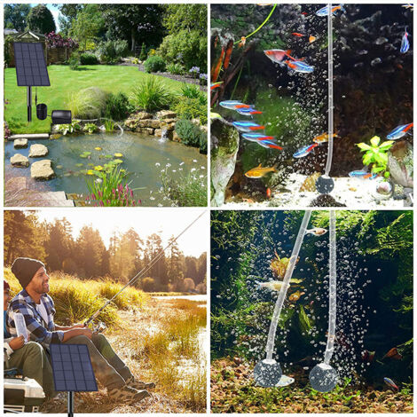Guide pratique pour construire un bassin à poissons hors sol