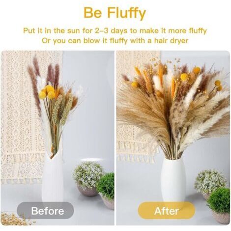 185 Pièces Herbe De Pampa Séchée Naturelle - Bouquet Boho XXL Pour Décoration Mariage, Salon, Chambre