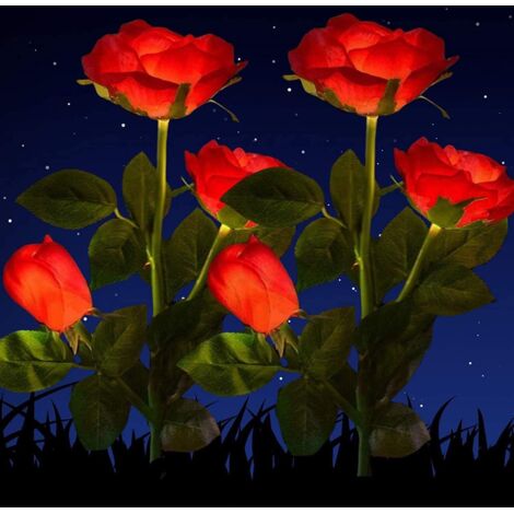 Lot de 2 lampes solaires de jardin décoratives étanches pour extérieur - 2 V - Lampes solaires de jardin avec LED roses pour jardin, pelouse, champ, chemin et suggestion (rose rouge)-Fei Yu (1/5)