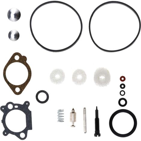 Assortiment de Joints Carburateur Kit de Réparation Reconstruction Moteur pour Briggs Stratton Quantum Max 398183/498261/490937 (1/4)