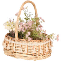 Panier princesse miniature en dentelle, osier, rotin, herbe tressée, pot de fleurs vertes, panier photo pour enfant, cadeau d'accompagnement, panier de fleurs à main