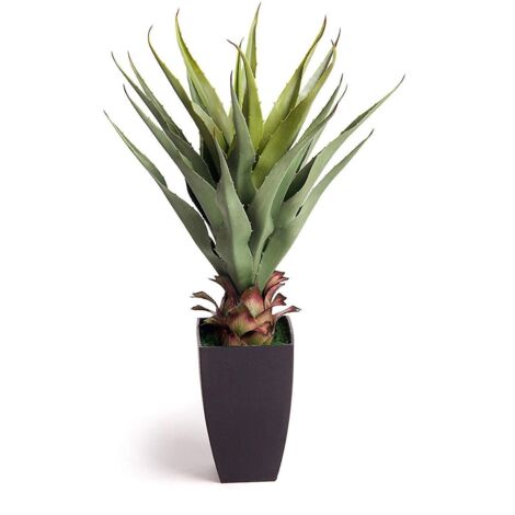 Meilleure plante d'aloe vera simulée de 70 cm (2 pieds) (1/2)