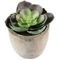 Plantes miniatures, plantes artificielles, plantes grasses artificielles, plantes miniatures artificielles, plantes floquées artificielles