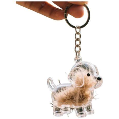 Boîte de rangement souvenir pour poils de chien, porte-clés transparent, flacon pour poils d'animaux, porte-clés souvenir pour conserver les poils de votre animal, capsule à souvenirs portable (1/5)