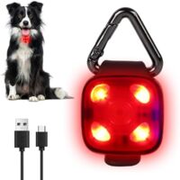 Lampe LED rechargeable à clipser pour collier de chien, lampe de sécurité USB étanche pour chien, chat et visibilité du propriétaire, idéale pour la promenade nocturne, la course et le camping