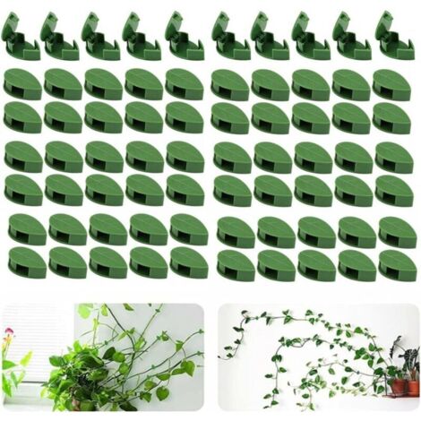 VURAHOME - Ensemble de 70 attaches murales pour plantes grimpantes - Pour le jardin, la maison, le bureau (1/5)