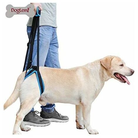 VURAHOME - Harnais de levage pour chiens âgés, faibles, avec poignée de levage pour soulager la douleur, la rééducation, les chirurgies, bleu/noir, taille L (1/5)