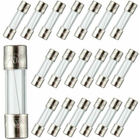 VURAHOME - F10AL250V 5x20 mm 10A 250V Fusibles à fusion rapide 10 Ampère 250 Volt 0.2 x 0,78 pouce Fusibles à tube de verre(paquet de 20 pièces)