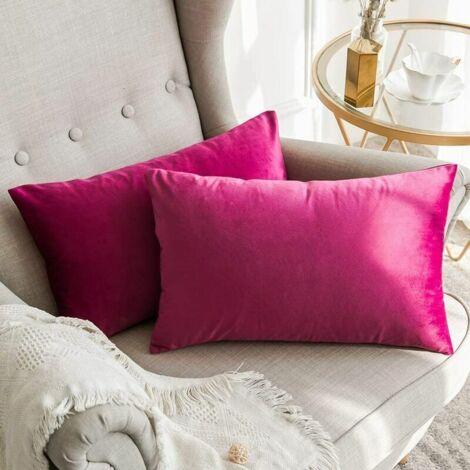 Lot de 2 Housses de Coussins en Velours Décoratif Canapé Taie d'oreiller Super Lisse Doux Decoration Maison Salon Chambre pour Canapé 2 Pièces 30X50CM Jaune (1/5)