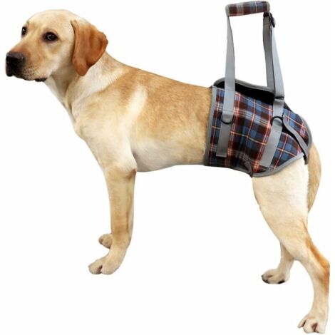 Harnais de Soutien pour Chien pour Les Jambes Avant et arrière Levage Gilet de réadaptation réglable Maille Portable rembourré sans avec poignée (bleu)L (1/5)