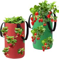 VURAHOME -Sac Plante Non Tissé, Sac Plante Fraise Respirant, Sac Plantation Suspendu, Sac Culture Fraises, Sac Semis Fraises Jardinage, Sac Fraise avec Poignées, Sac Fraise Jardin,