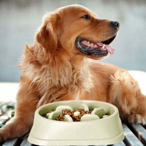 Curated visual reference: Picture Idea: Green Slow Feeder Dog Bowl With Non Slip Base Extends