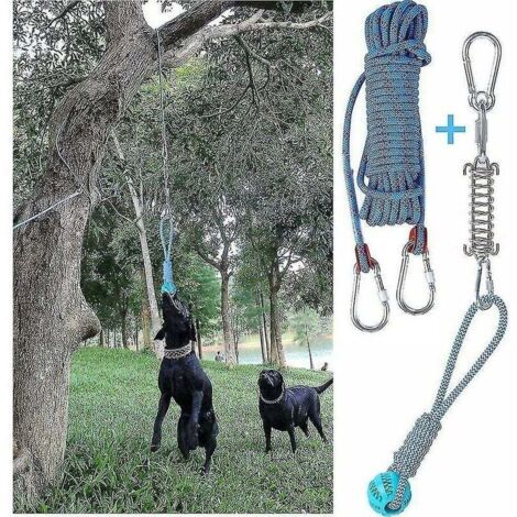 Set di giocattoli per cani con barra a molla per uso esterno, corda di cotone per l'esercizio, giocattolo per la dentizione del cane