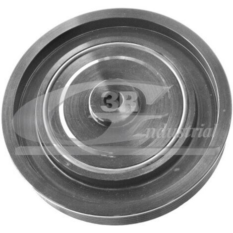 3RG 10628 POLEA CIGÜEÑAL