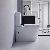 WC JAPONAIS EN CERAMIQUE - T5 WALL HUNG SUR PIEDS