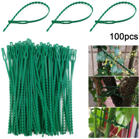 100 Pcs Liens Réglables de Jardin 22 cm – Attaches Réutilisables en Plastique pour Soutenir Vignes, Tomates, Arbustes et Autres Plantes (1/5)