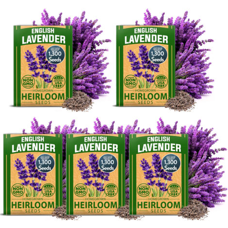 Graines de Lavande Anglaise 6500 – Semis Intérieur/Extérieur, Parfum Naturel, Haute Germination (1/5)