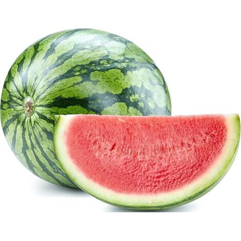 50 pièces Graines Pastèque Qilin à Planter – Fruits Sucrés et Juteux, Jardin Potager, Semis Facile et Croissance Rapide (1/5)