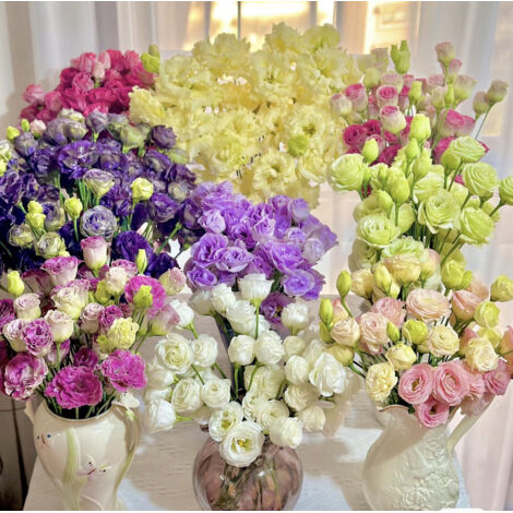 Lot de 5000 graines de lisianthus - Assortiment coloré pour jardin et pots, fleurs délicates et abondantes, croissance simple et floraison spectaculaire (1/5)