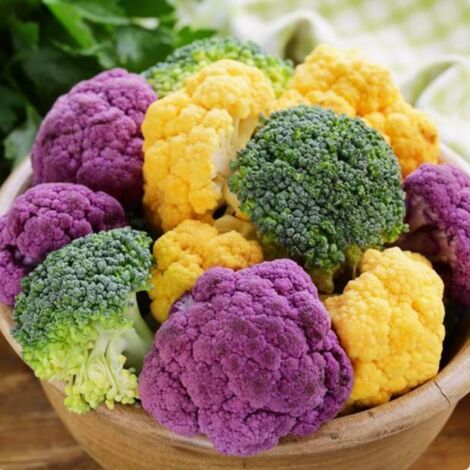 Graines de chou-fleur (300 graines), y compris des variétés violettes, vertes et jaunes, graines mélangées, variétés multiples, graines de légumes. (1/5)