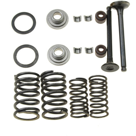Kit de réfection des soupapes moteur GY6-50 pour moteurs 50 cm3, motos et karts (1/5)