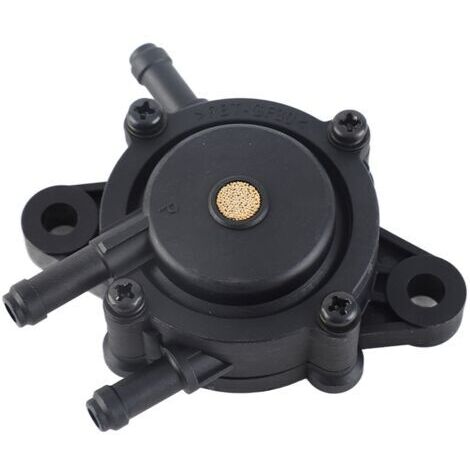 Pompe à Carburant Compatible avec Briggs & Stratton 491922 691034 692313 808492 808656 - (1/5)