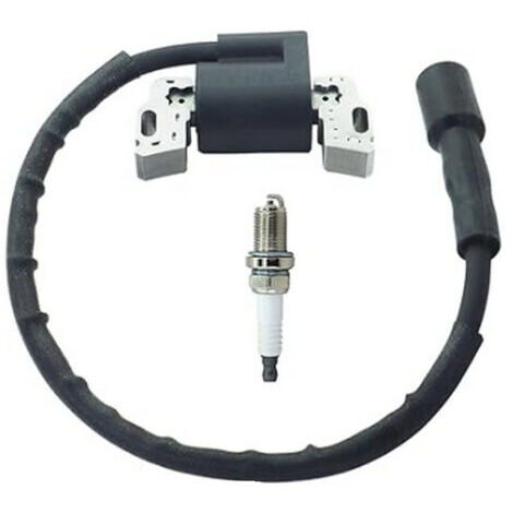 Bobine d'allumage haute tension compatible avec 594626 594456 795315 592841 avec bougie d'allumage (1/4)