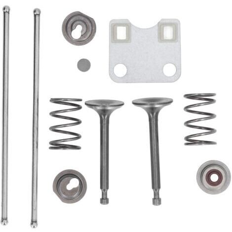Kit de Protection pour Culasse Compatible avec Honda GX160 GX200 5.5HP 6.5HP Moteur Pièces de Rechange Incluant Ressorts de Soupapes-