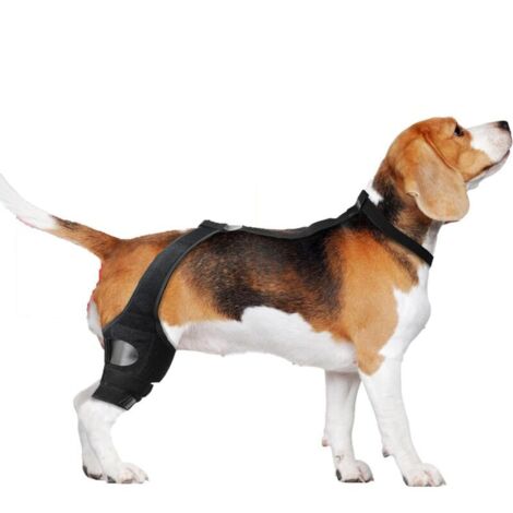 Genouillère pour Chien Attelle De Soutien pour Patte Arrière Genouillère Réglable avec Sangle de Soutien pour Rééducation et Faiblesse Musculaire (1/5)
