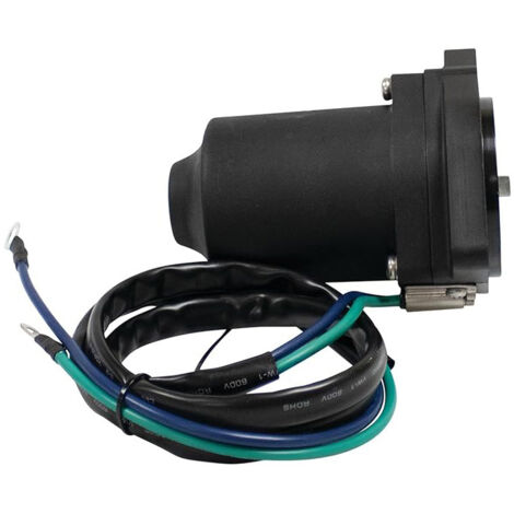 63P-43880-01-00 Démarreur, un démarreur haute performance adapté aux moteurs hors-bord Yamaha F150JA, étanche et résistant à la corrosion, adapté aux environnements marins. (1/3)