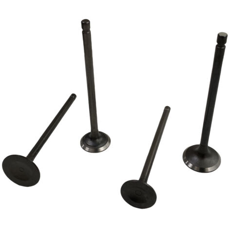 Les joints de tige de soupape Bajaj Discover 125 (St/M 150 S) sont adaptés aux soupapes du moteur de moto pour éviter la combustion de l'huile. (1/3)