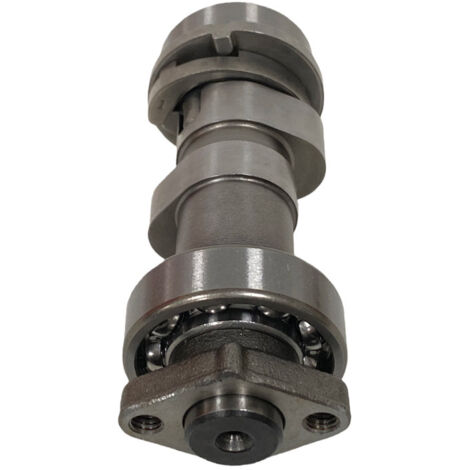 Les arbres à cames pour motos sont compatibles avec les modèles Vort-x 250, CPS250, RBT250 et RW172FMM. Leur conception à levée importante optimise l'admission d'air et améliore la puissance à haut ré (1/3)
