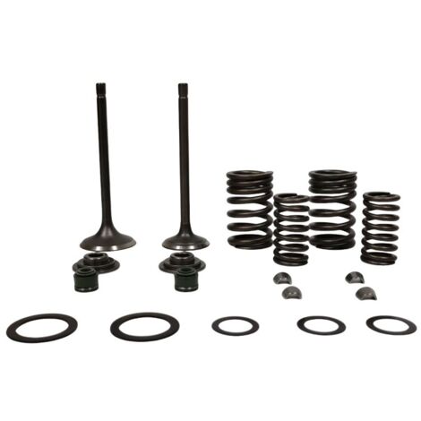 Joints de queue de soupape de moteur de moto adaptés aux HONDA TRX250 Recon 250 Sportrax 250, joints de queue de soupape pour éviter la combustion d'huile. (1/3)